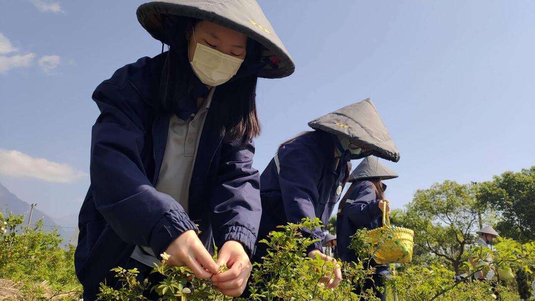 併校挑戰下的制度性應對與師資整合策略附圖1