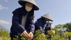 專業與人文互融——慈濟大學跨領域通識的整合智慧圖示